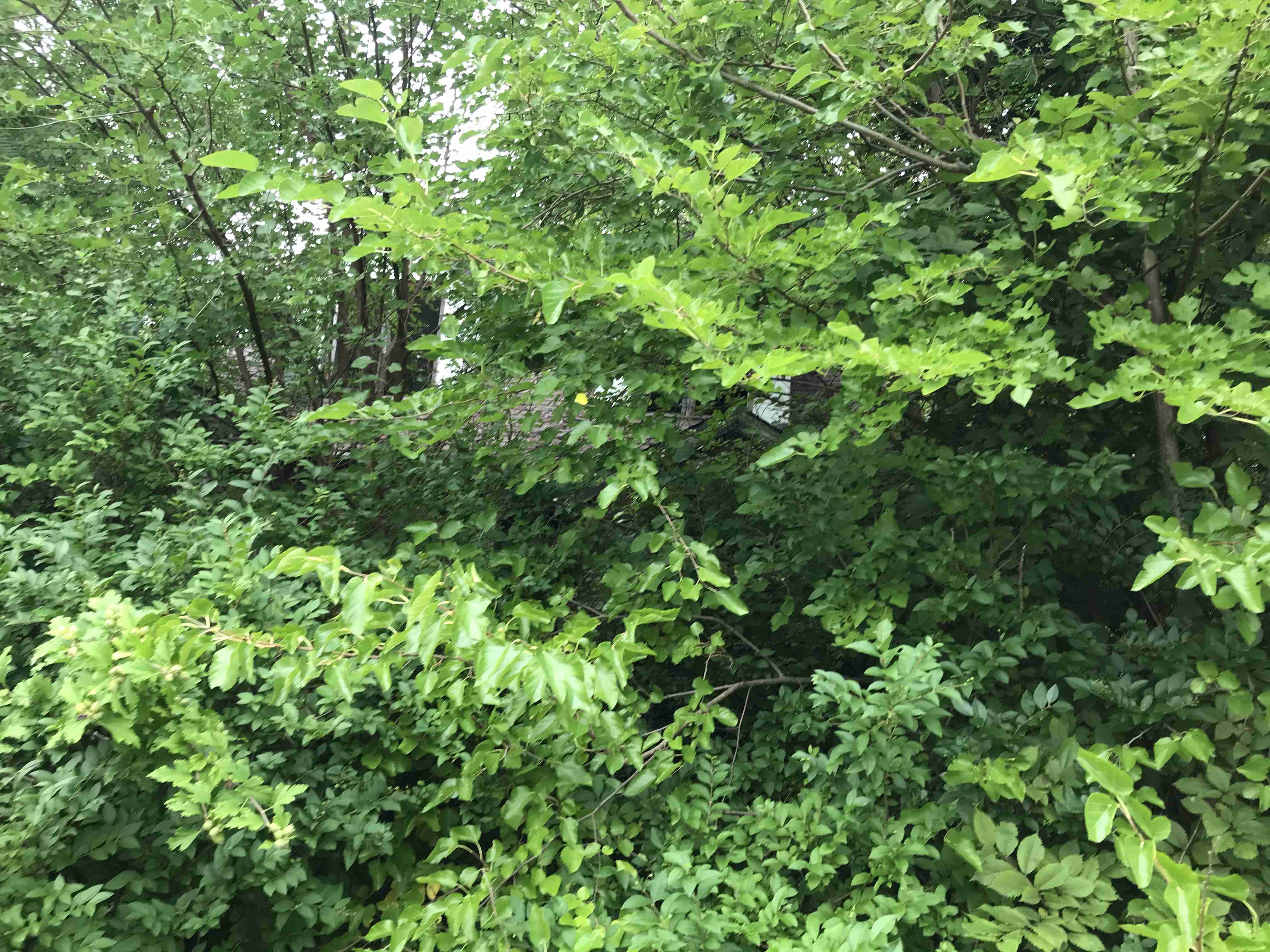 Photo Sep 10, 12 44 44 PM.jpg